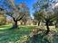 Immagine 27