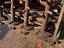 Immagine 22