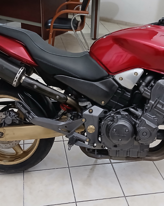 Honda hornet
