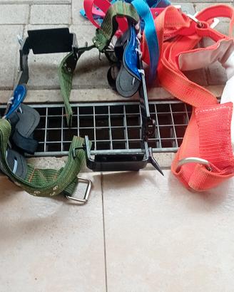 scarponi  per rampicanti alberi 