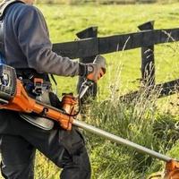 taglio erba erbacce orto