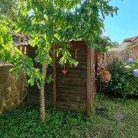 Casa vicino al castagneto