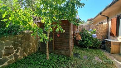 Casa vicino al castagneto