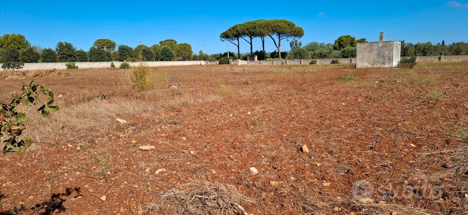 Terreno agricolo - Vista 4