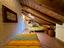 Immagine 16