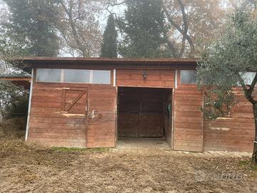 Box e Paddock per cavalli