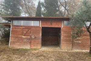 Box e Paddock per cavalli