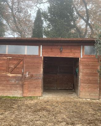 Box e Paddock per cavalli