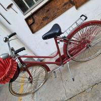 Bicicletta  donna 26 Bordeaux