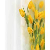 Tenda doccia 120×180