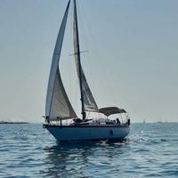 Cabinato vela 33Ft natante