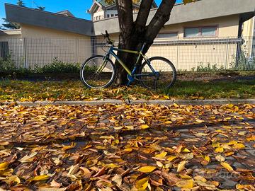 Bicicletta