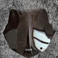 Cupolino fumè WRS BMW GS 