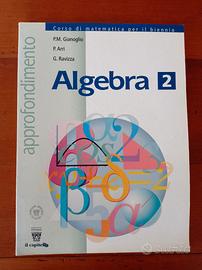 Approfondimenti di Algebra 2 - Liceo scientifico