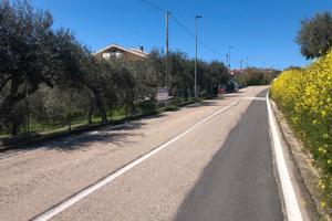 Terreno Silvi frazione Pianacce