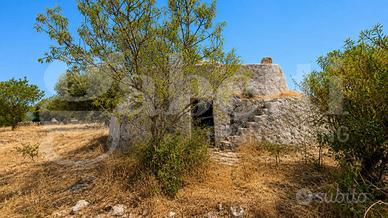 Rustico/Casale/Corte Ostuni [Cod. rif 3334781VRG]