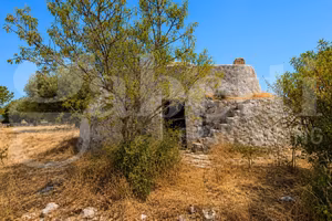 Rustico/Casale/Corte Ostuni [Cod. rif 3334781VRG]