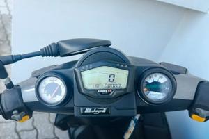 Supporto Strumentazione Stage6 per Phantom F12