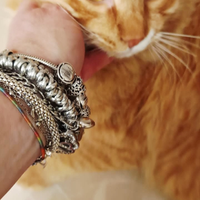 Gatto a pelo lungo arancio ??