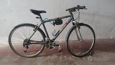 Bicicletta ibrida o da trekking