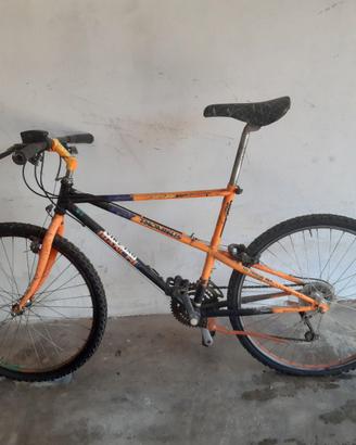 MTB Bianchi modello Ragno Thomisus