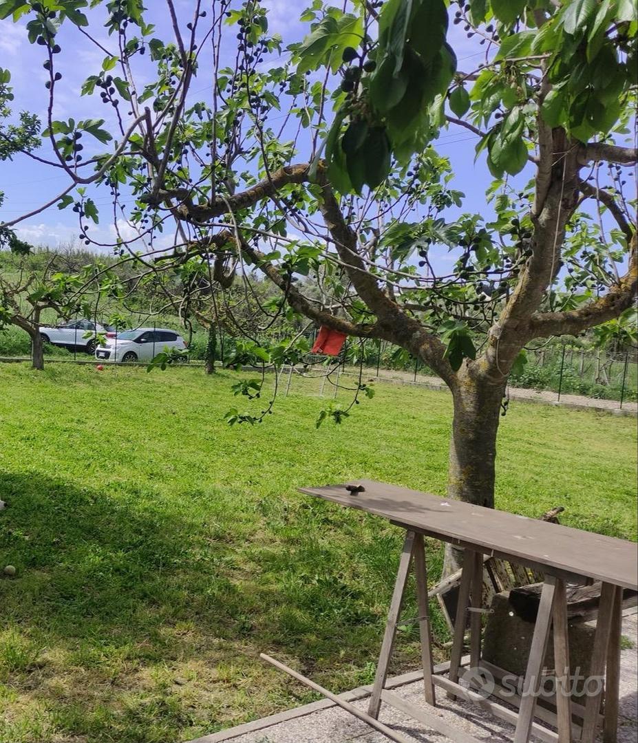 Terreno agricolo - Vista 4