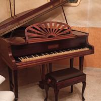 pianoforte a coda 