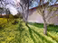Immagine 12