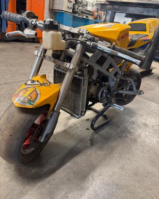 Minimoto 50 cc blata