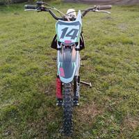 pit bike PBS 160cc