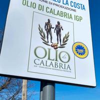 Olio IGP di Calabria