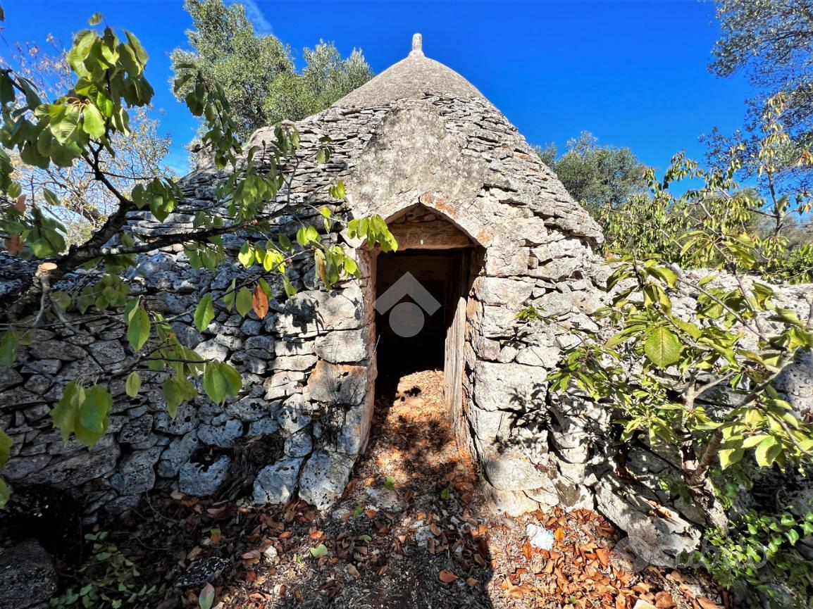 RUSTICO A CEGLIE MESSAPICA - Vista 4