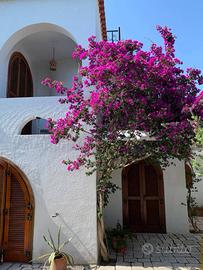 Casa Peschici Centofate vista mare