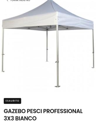 GAZEBO GRANDE PESCI 3x3