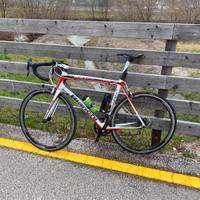 BIANCHI SEMPRE CARBONIO Taglia 59 x H 185