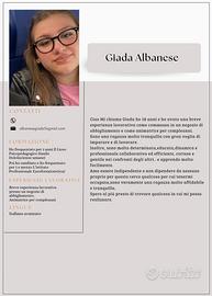 qualsisi lavoro