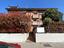 Immagine 28