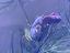 Immagine 4