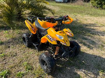 Quad. Benzina 11 cc