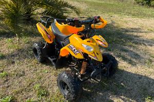 Quad. Benzina 11 cc