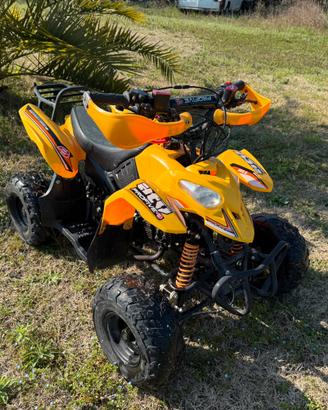 Quad. Benzina 11 cc