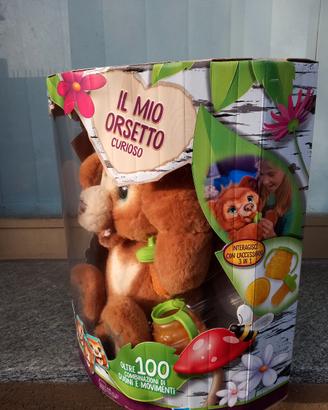 orsetto 
