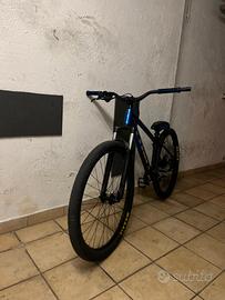 Trek wheelie bike 