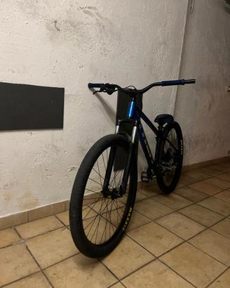 Trek wheelie bike 