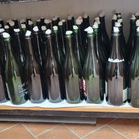 Bottiglie scure imbottigliamento vino