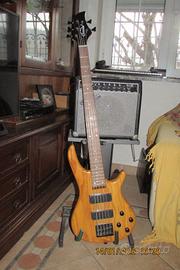Basso 5 corde CLEMENT