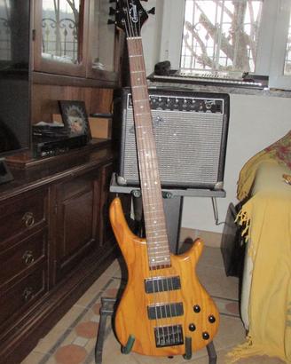 Basso 5 corde CLEMENT