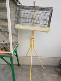 gabbietta per uccelli