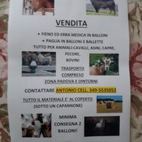 Paglia  in ballette + Erba Medica in BALLONI