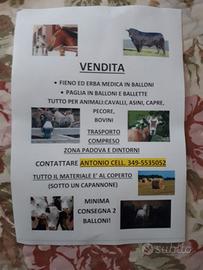 Paglia  in ballette + Erba Medica in BALLONI